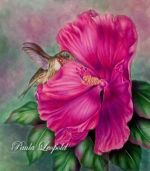 Hummingbird & Hibiscus